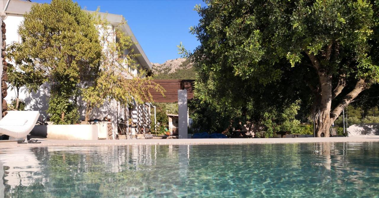 Villa Maria Dorgali Exterior foto