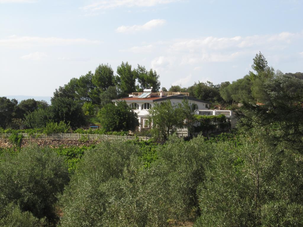 Villa Maria Dorgali Cameră foto